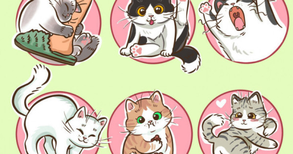 Как успокоить кошку во время течки: советы, которые облегчат жизнь вам ...