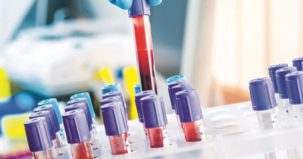 Анемия вне сезона